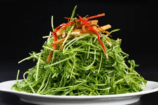 L01969松柳芽拌散子 (1)