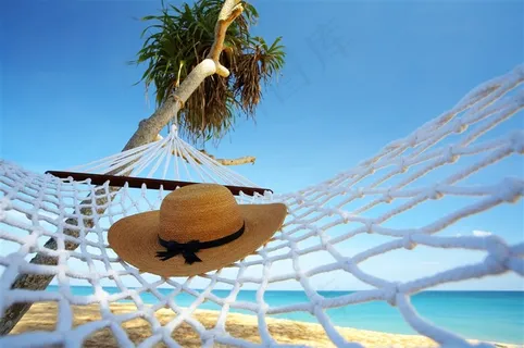 一个帽子吊床和椰子树