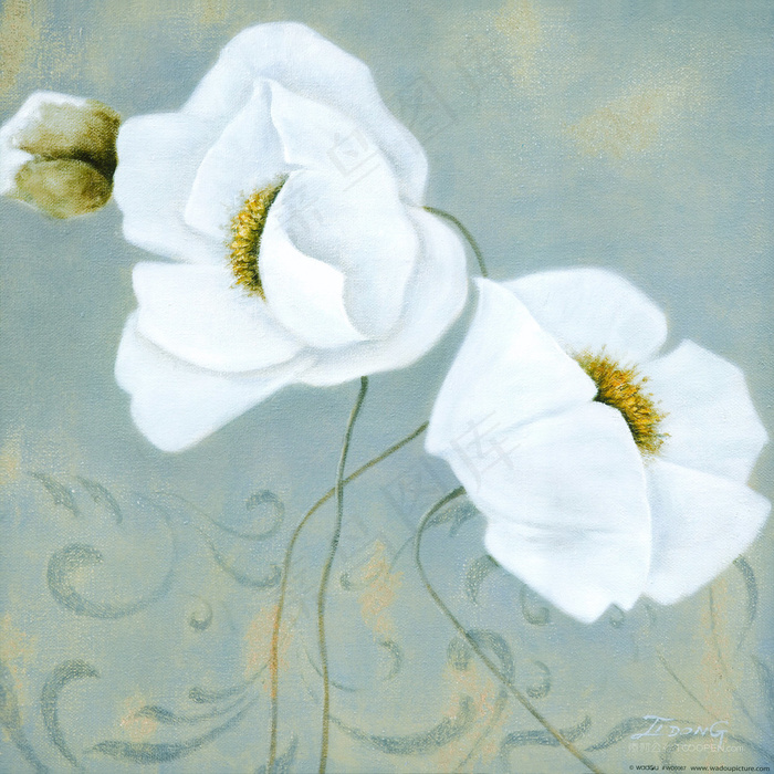 唯美小白花高清艺术油画