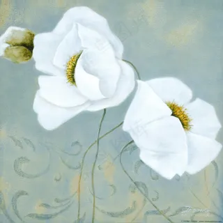 唯美小白花高清艺术油画