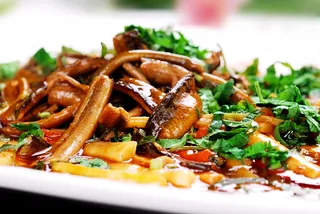 XCXC0552传统---藿香童子鳝