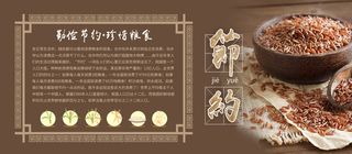 勤俭节约珍惜粮食展板