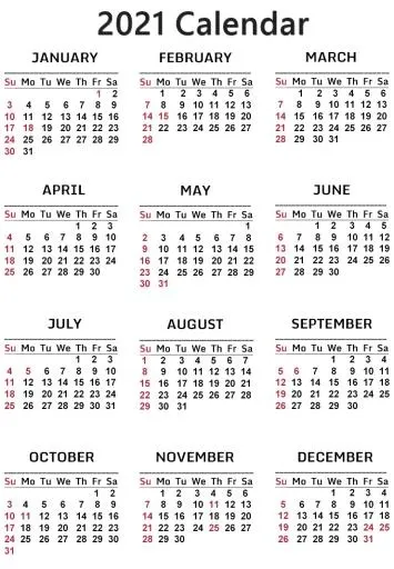 2021 年日历 PNG免抠(740x1067)