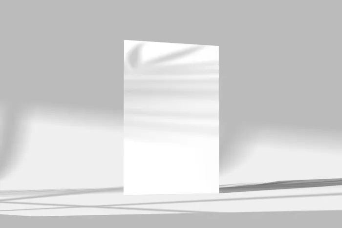 单张黑白灰简约立体光影海报样机