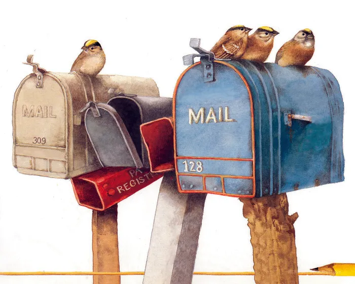 信箱鸟儿油画