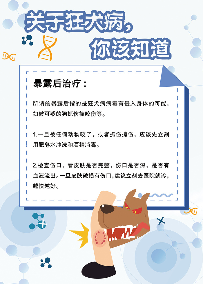 关于狂犬病你该知道的科普知识海报psd模版下载