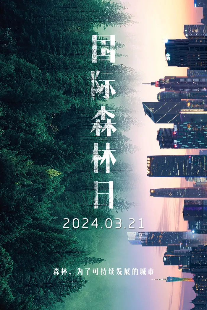 创意绿色国际森林日海报psd模版下载