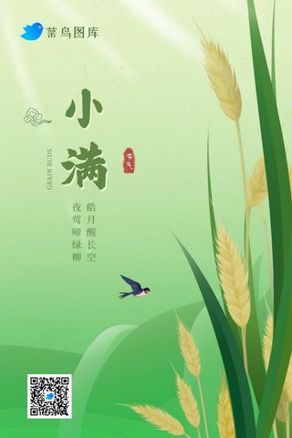 小满节气国风简约海报