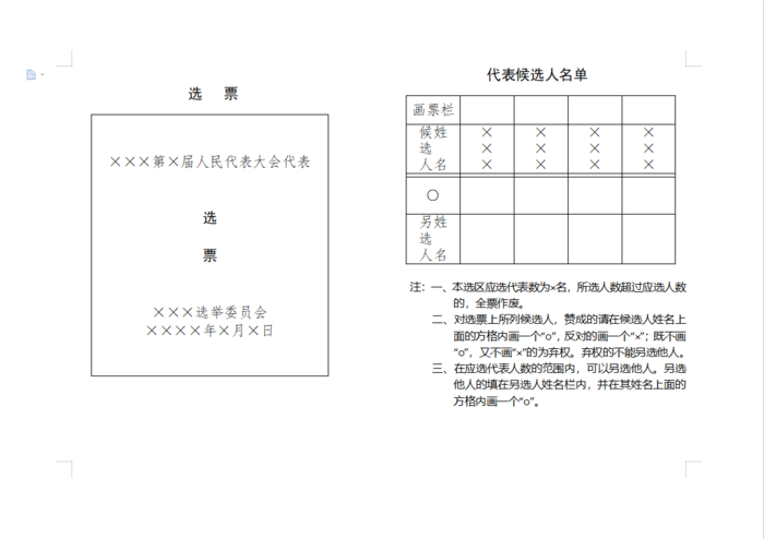 人大代表选票