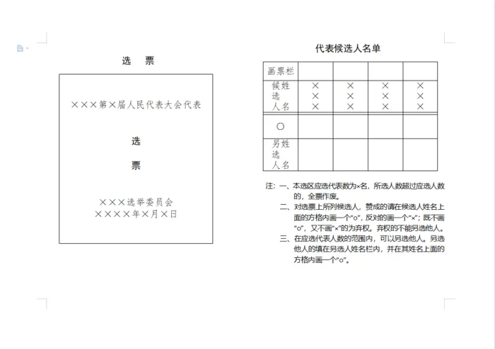 人大代表选票