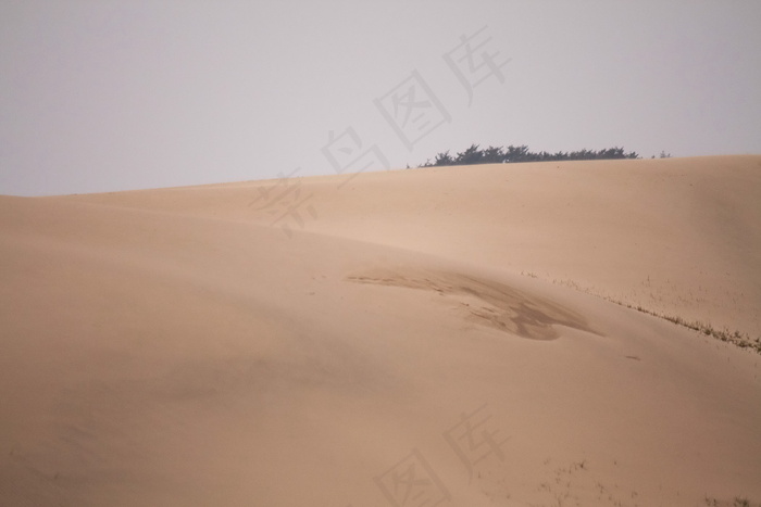 沙漠沙丘图片