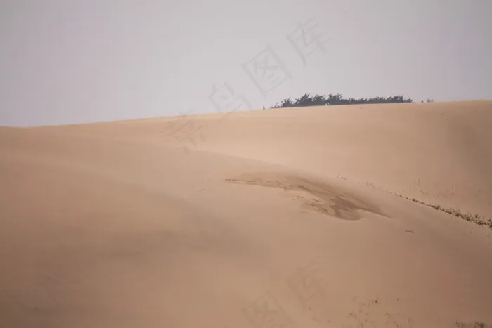 沙漠沙丘图片