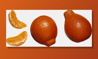 橘子免抠素材 (6)