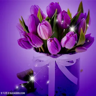 唯美紫色郁金香花束鲜花图片