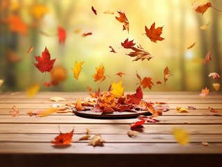 秋天的落叶落在了公园的长椅上摄影图