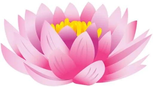 莲花 PNG免抠(600x343)