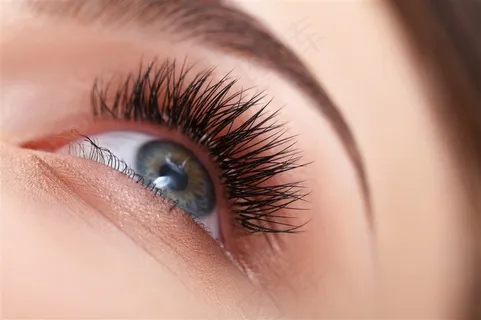 眉毛美容的美女摄影素材 眉毛美容的美女摄影素材