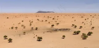 一片荒芜的沙漠