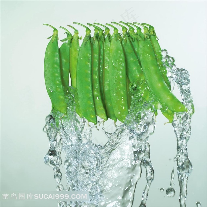 豌豆蔬菜设计素材