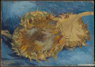 梵高- 向日葵插画