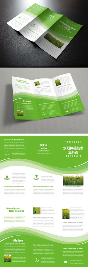 绿色线条创意水稻种植技术三折页