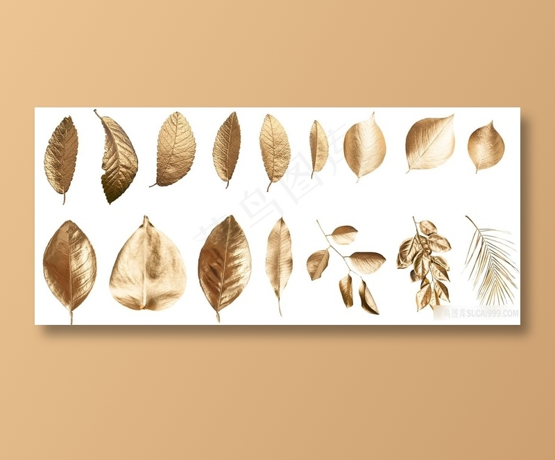 镀金色树叶叶子