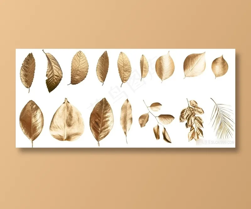 镀金色树叶叶子