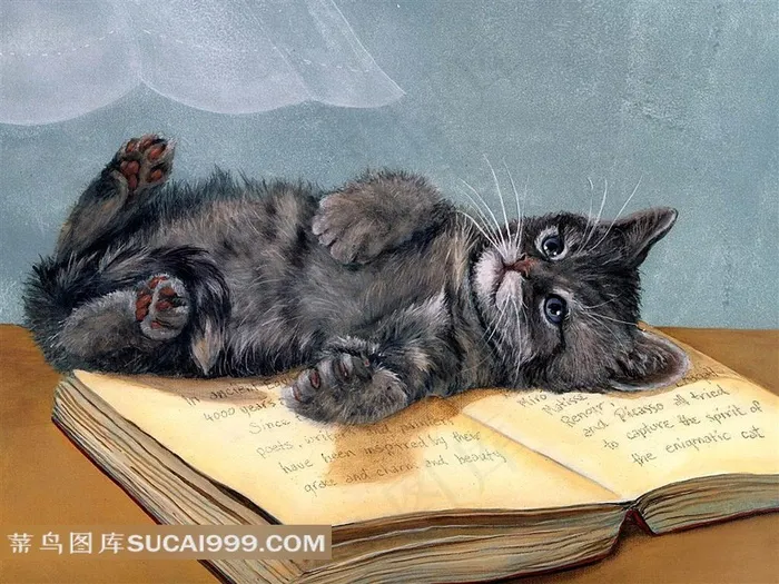 躺在书本上的小猫插画素材