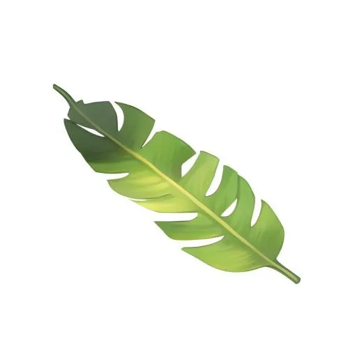 叶子树叶芭蕉叶免抠