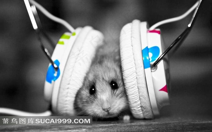 白色耳机广告图片