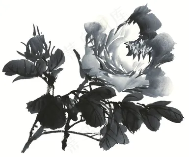 写意花卉文化艺术图片素材 写意花卉文化艺术图片素材