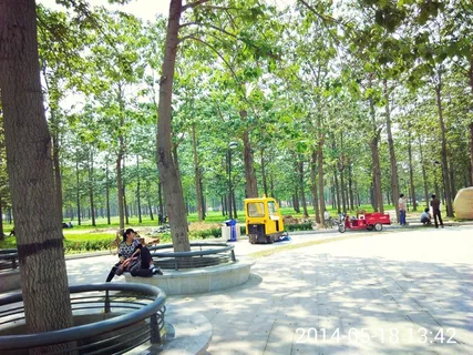焦桐公园风景 焦桐公园风景