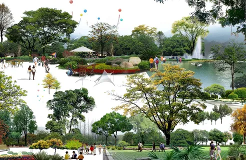 综合树psd素材 综合树psd素材