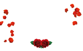 花朵花瓣情人节