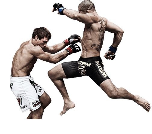 综合格斗 PNG, MMA PNG免抠(505x446)