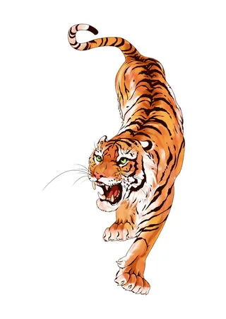 手绘国潮虎年卡通白虎老虎形象插画装饰元素PSD设计素材png免抠图