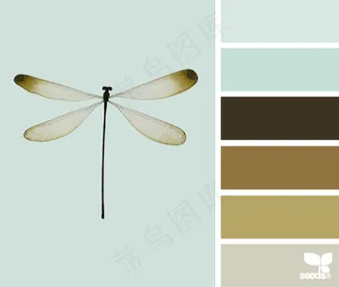 动物配色色卡色彩搭配