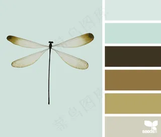 动物配色色卡色彩搭配