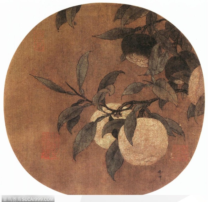 花鸟篇-桔枝