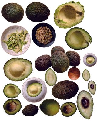 牛油果及制品免抠摄影元素素材