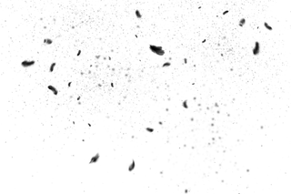 免扣黑色羽毛素材