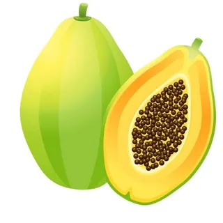 木瓜 PNG免抠