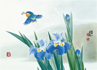 国画富贵鸟文化艺术美图素材