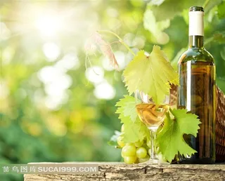 葡萄酒和葡萄高清图片