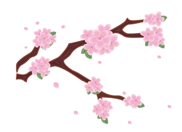 春天浪漫粉红色樱花手绘樱花梅花桃花花朵图片PNG免扣素材