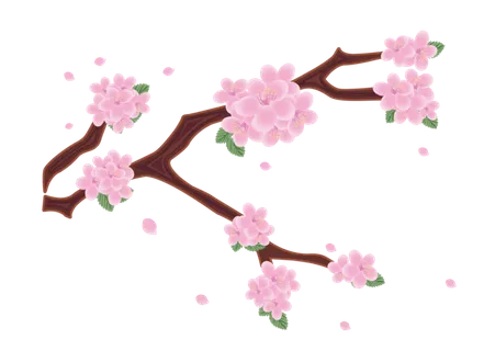 春天浪漫粉红色樱花手绘樱花梅花桃花花朵图片PNG免扣素材