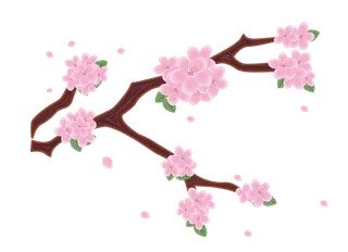 春天浪漫粉红色樱花手绘樱花梅花桃花花朵图片PNG免扣素材