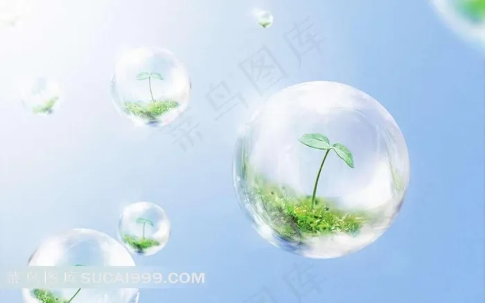 气泡里的绿色嫩芽