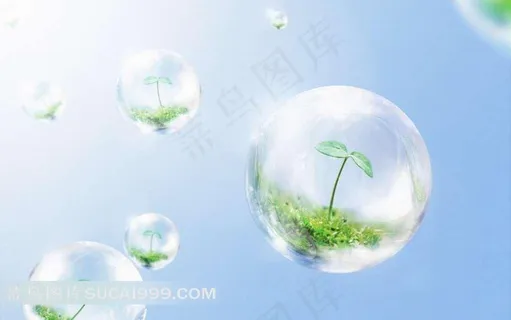 气泡里的绿色嫩芽 气泡里的绿色嫩芽