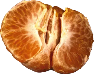 橘子免抠素材 (29)